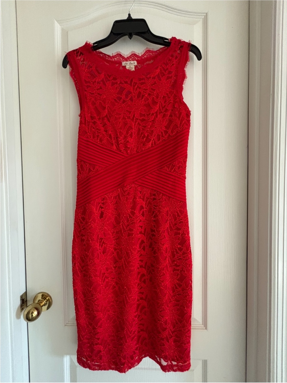 Lia Lee sz Small S Red Lace Overlay Sheath Bodycon dress stretch midi cocktail